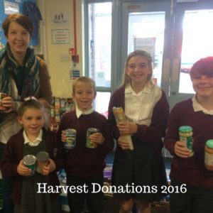 harvest-collecting-2016